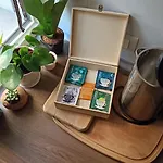Apartamento Casa Alderotti