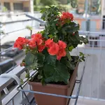 Apartamento Casa Alderotti Bolonia