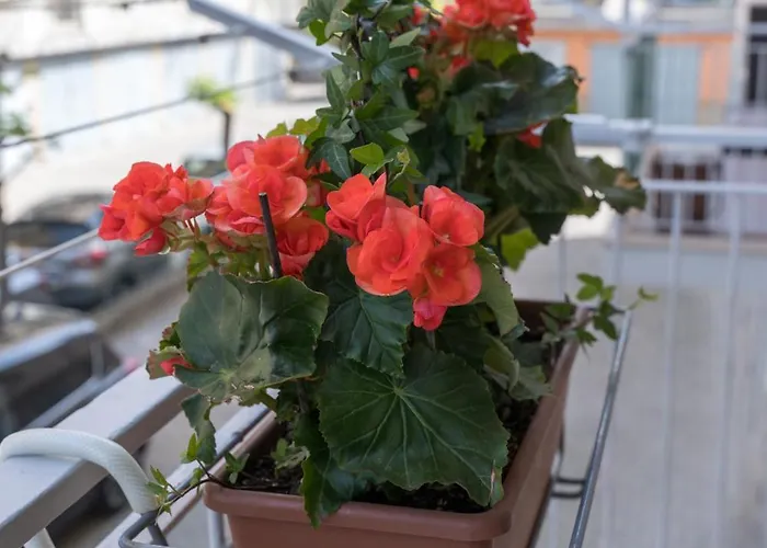 Apartmán Casa Alderotti Boloňa