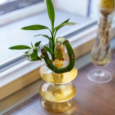 Appartement Casa Alderotti *