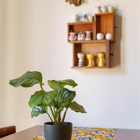 Apartment Casa Alderotti *