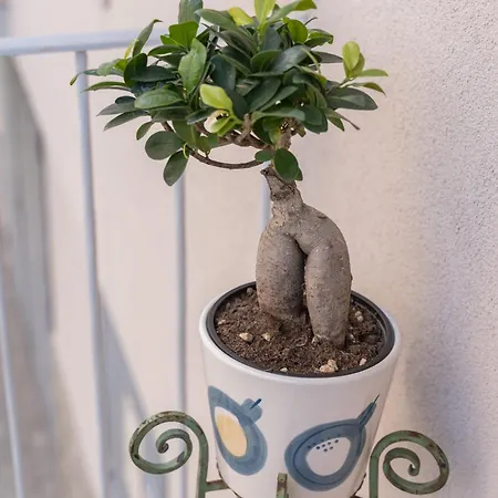 Casa Alderotti Apartament *