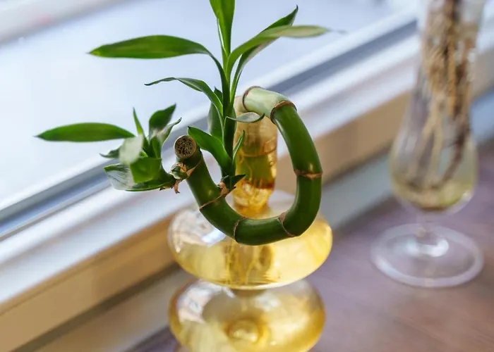 Lägenhet Casa Alderotti *