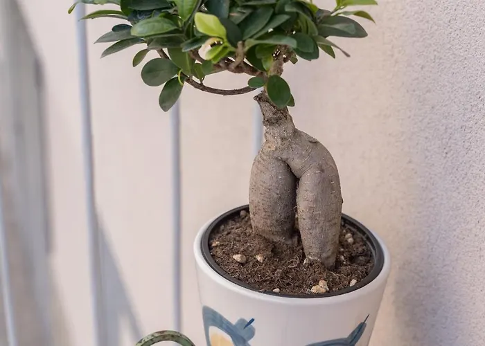 Casa Alderotti 아파트 *