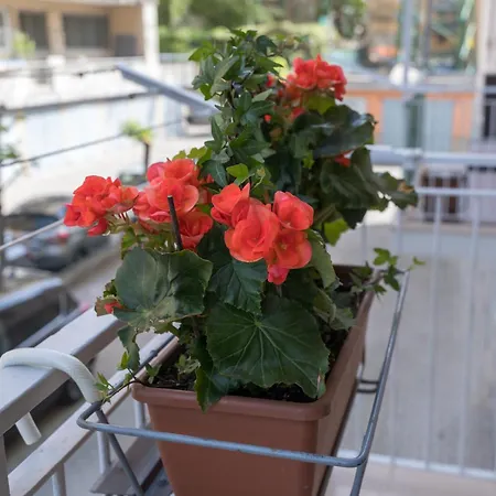 Daire Casa Alderotti Bolonya